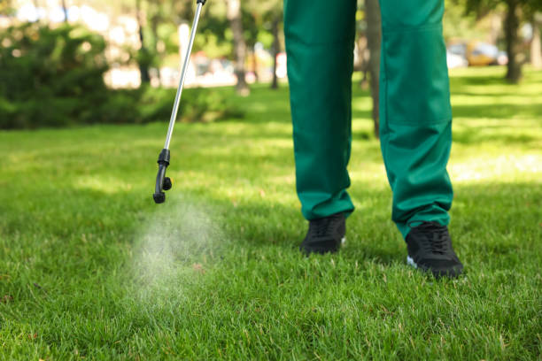 Best Commercial Pest Control Services  in Dyersville, IA