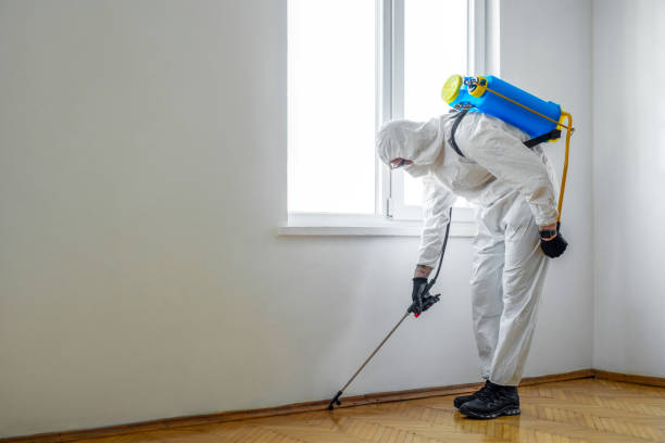 Best Local Pest Control Services  in Dyersville, IA