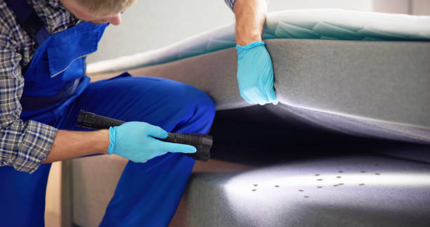 Best Bed Bug Extermination  in Dyersville, IA