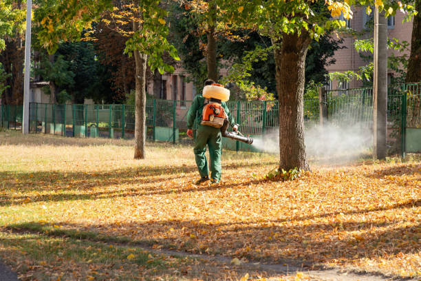 Best Flea Control Services  in Dyersville, IA