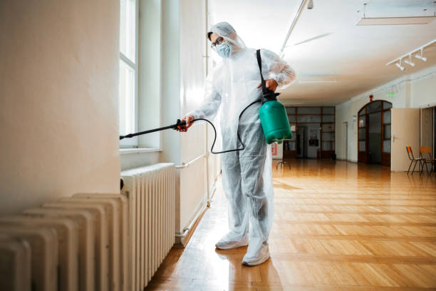 Best Best Pest Control Companies  in Dyersville, IA