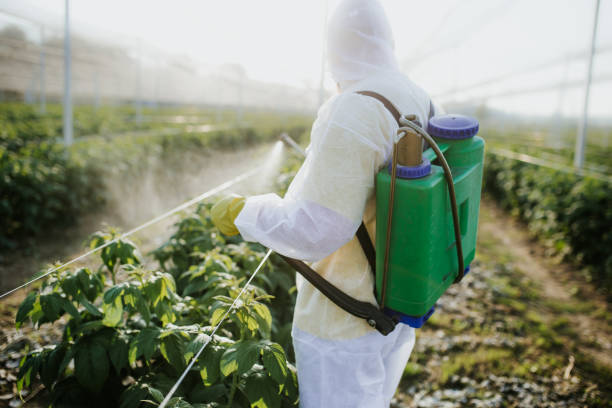 Best Wildlife Control Services  in Dyersville, IA